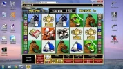 horses res.webp