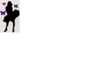 mm.webp