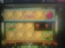 rsz_go_bananas1.webp rsz_go_bananas1.webp