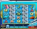 Dolphin Coast 560x!!.webp