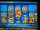 rsz_mermaids_5_wilds.webp