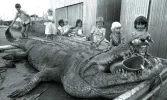 croc-sweetheart.webp