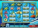Dolphin.webp