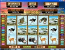 White Rhino.webp