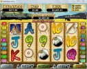 raindance2.webp
