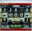 drwild.webp