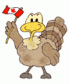 thanksgiving-turkey.gif