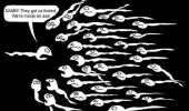 men_semen.webp