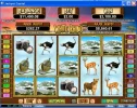 rhino jc 10-8.webp
