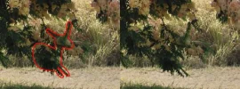 pinata.webp