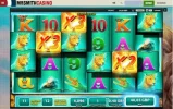 Raging Rhino SBW naam.webp