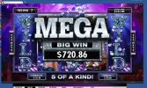 Mega-Big-Win-Playboy.webp