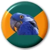 paranoid_parrot.webp