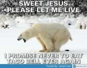 NeverEatTBAgain.webp