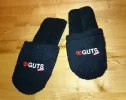 Guts3.webp