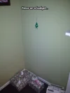 funny-Christmas-tree-car-freshener.webp