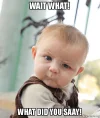 wait-what-what.webp