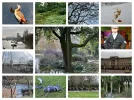 pizap.com14235971480311.webp