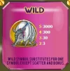 WizardWild.webp