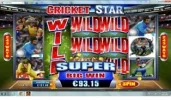 cricket2.webp