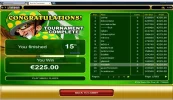 surewincupdashcasino15thinjan2015.webp
