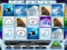 icefever3 (640x479).webp