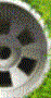 Z1.GIF