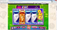 omg kittens.webp