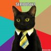 business-cat-meme-generator-seriously-d0b473.jpg