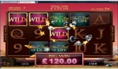 TFROL32red4diamondsand3wildsduringFS400xbet.webp