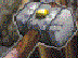Z24.GIF
