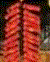 Z29.GIF