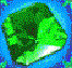 Z40.GIF