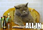 allin.webp allin.webp