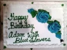 cake2.webp cake2.webp