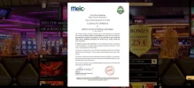 Meic.webp