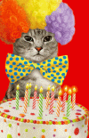 3371128d.gif