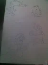 IMG1536A.webp