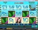 thai.webp