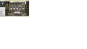 doa 5 scatters casumo.webp
