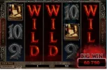 wd7.webp