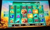 rhino jp.webp rhino jp.webp