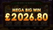 Big Chef - Betspin - BIG WIN 5 WILDS BIG CHEF - Stake £6 WIN £2026 - 337x stake CM.webp