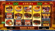 Big Chef - 32Red - BIG WIN 3 wilds hit 1 spin remaing - Stake £1.05 WIN £360.15 - 343x.webp Big Chef - 32Red - BIG WIN 3 wilds hit 1 spin remaing - Stake £1.05 WIN £360.15 - 343x.webp