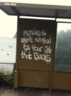 bad mondays.webp