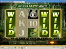 Panda SSTS.webp