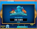 33.webp