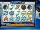 photo (3).webp