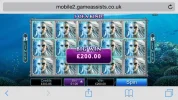 image.webp