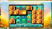 raging rhino 1.webp